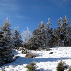 Norddeutschlands höchstes Wintermärchen