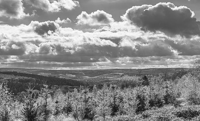 Nordeifelblick Richtung Hürtgenwald