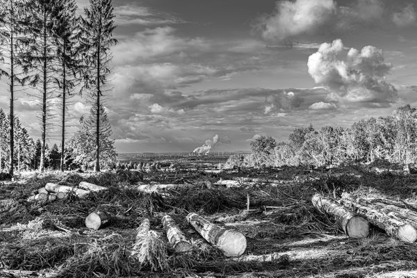 Nordeifelblick Richtung Weisweiler