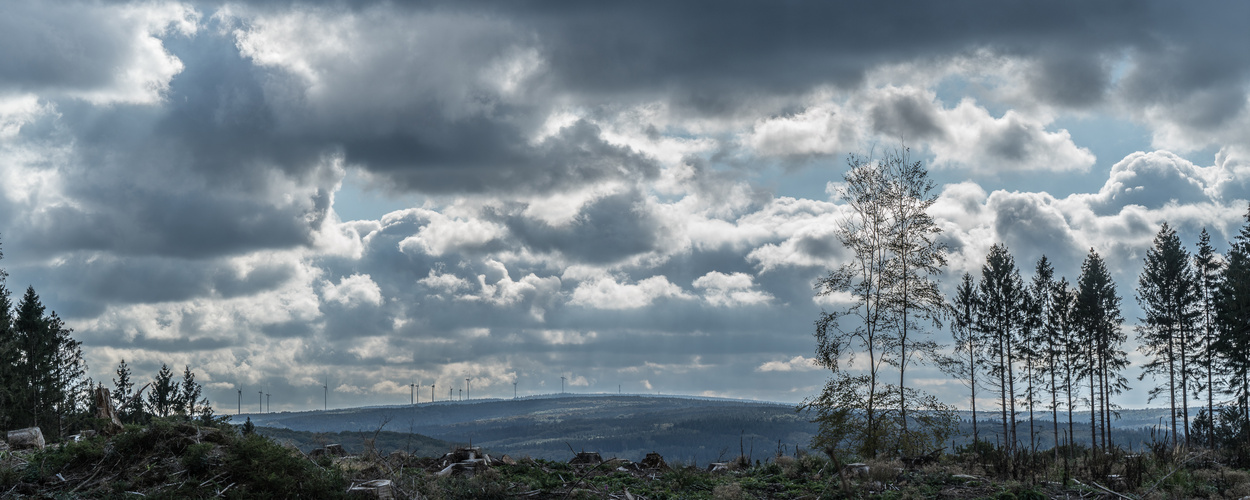 Nordeifelhöhenskyline_DSC0943920201011