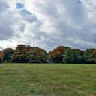 Norden Osten Süden Westen überall Herbst