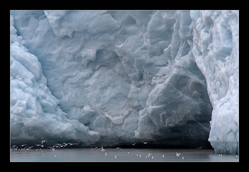 Nordenkiöldbreen