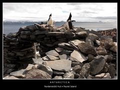 Nordensköld Hut • Paulet Island