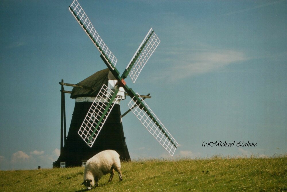 Nordermühle auf Pellworm