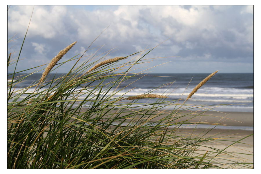 Norderney 09/08