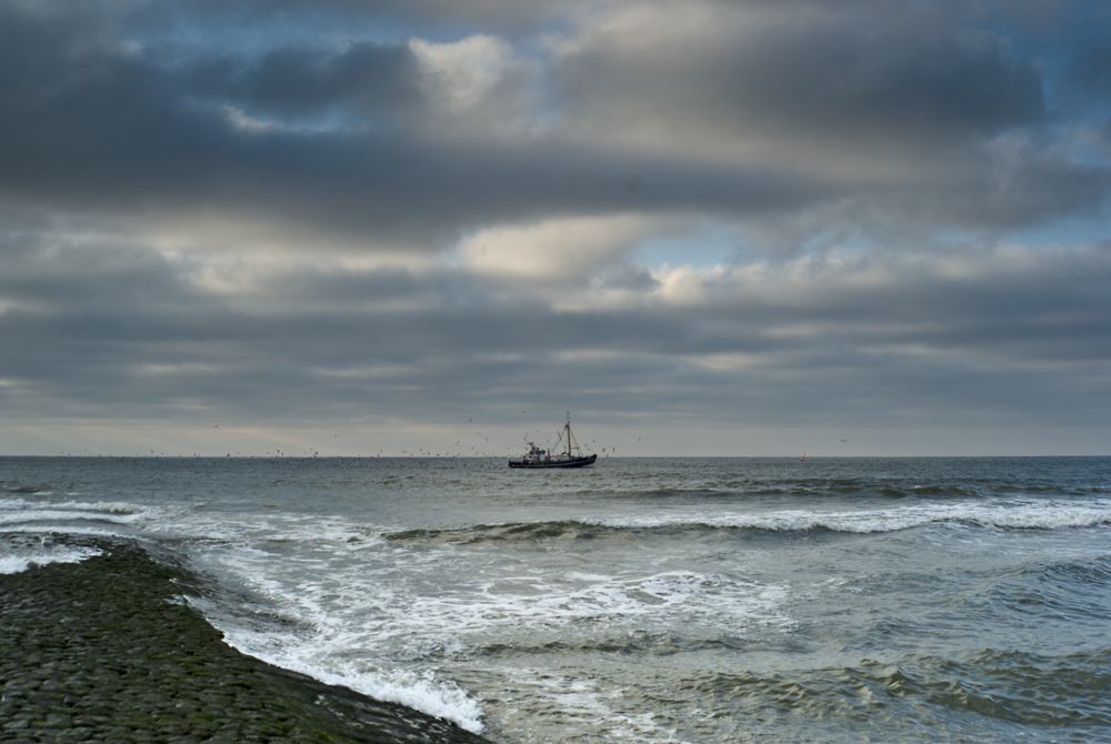 Norderney (10)