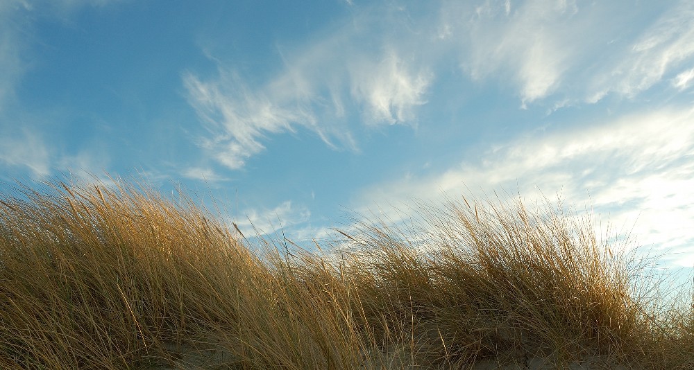 Norderney