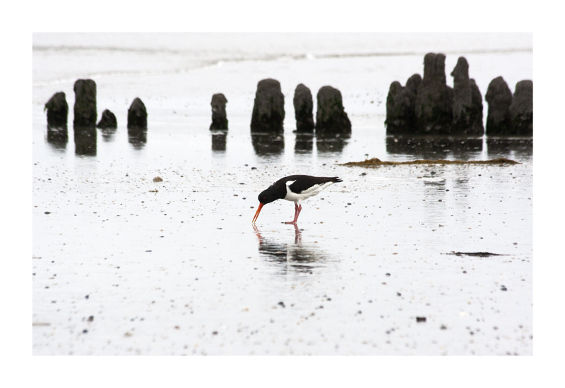 Norderney