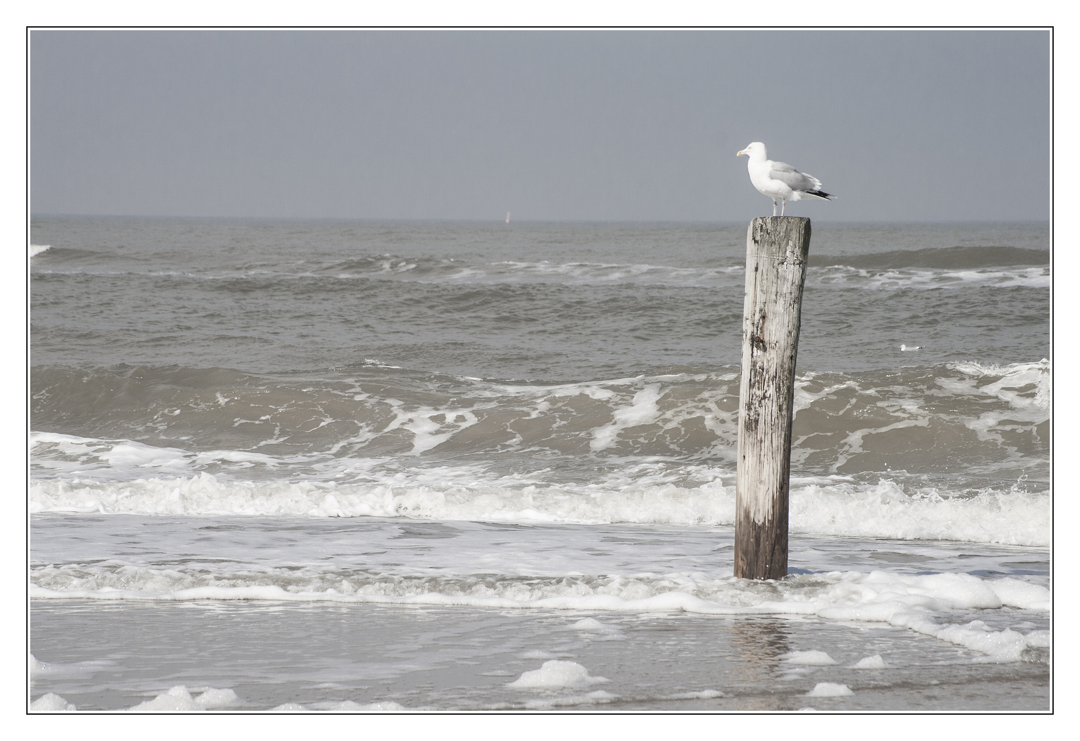 Norderney #2