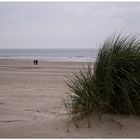 Norderney 2