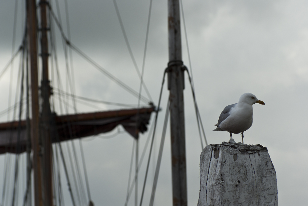 Norderney (2)