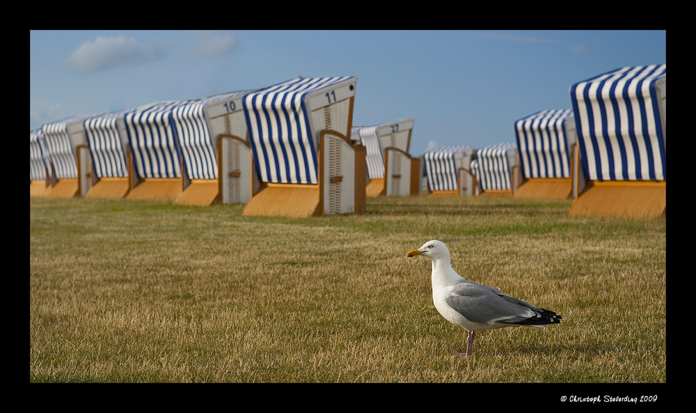 Norderney 2009 VI