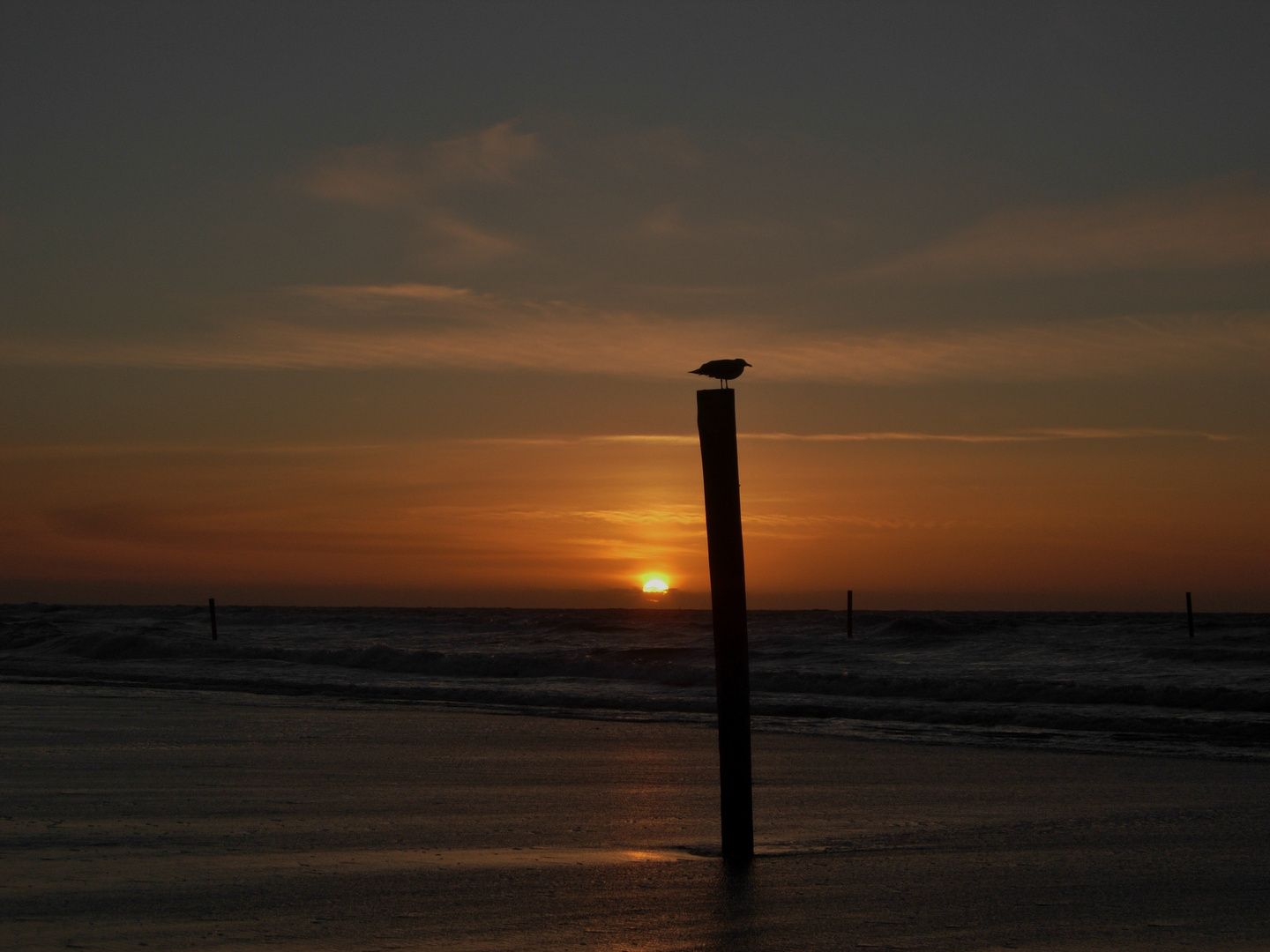 Norderney 2012