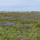 Norderney 2018