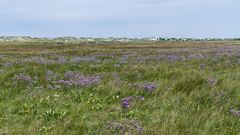 Norderney 2018