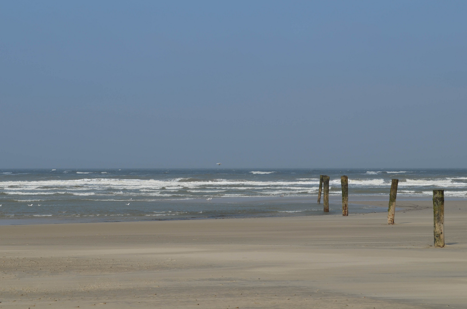 Norderney 2018 - Fantastische Sicht