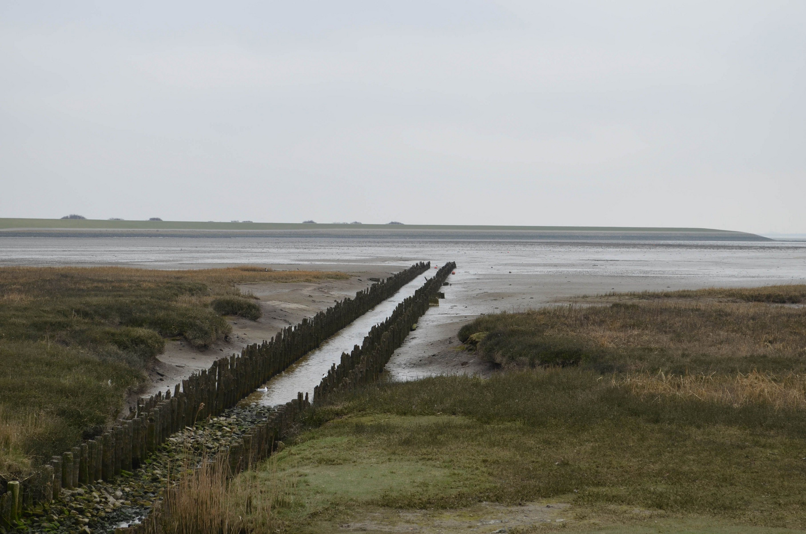 Norderney 2018 - Watt