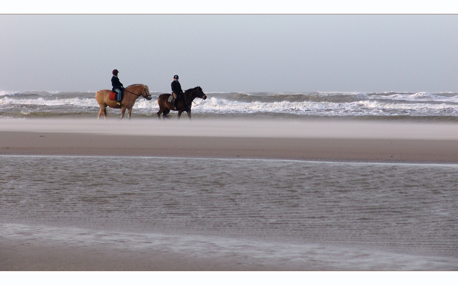 Norderney 25.01. 08 / Oststrand