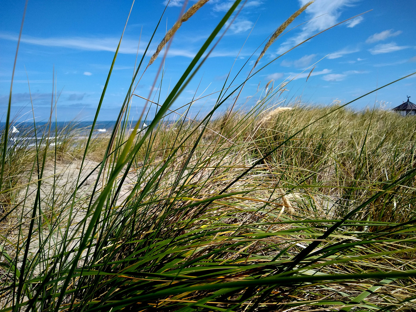 Norderney