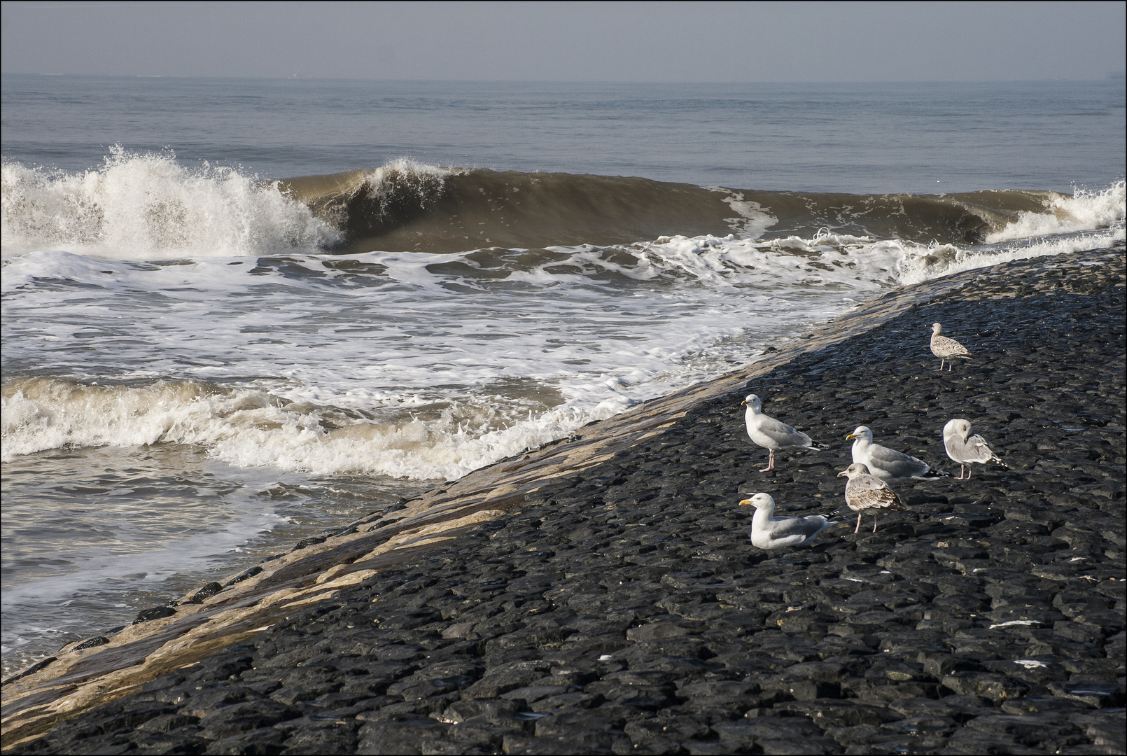 Norderney #3