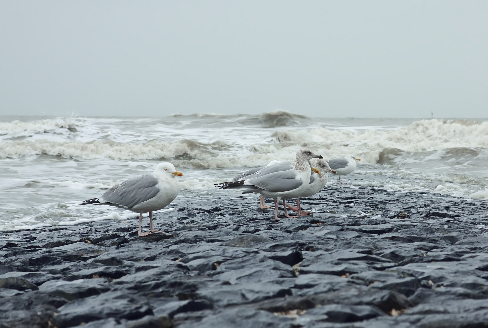 Norderney