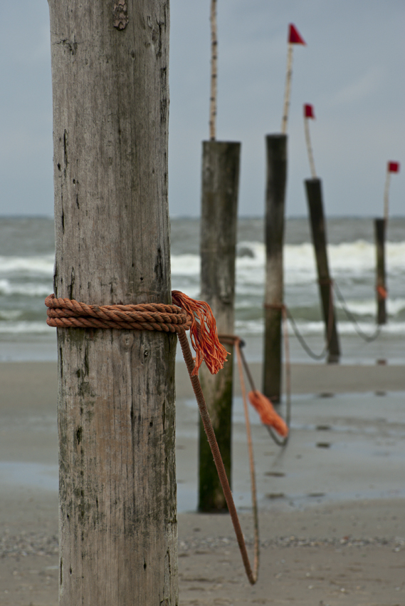 Norderney (5)