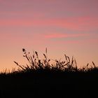 Norderney - Abschied (2)