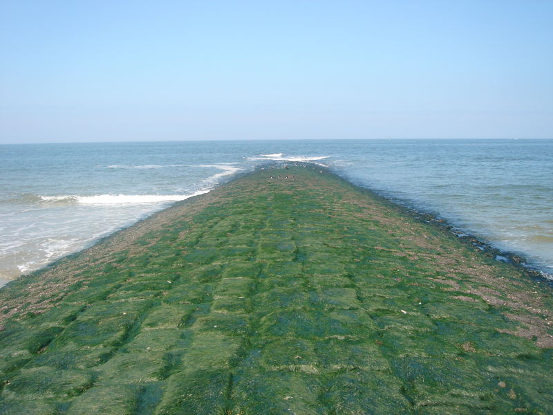 Norderney am Tag