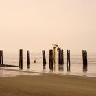 Norderney im April