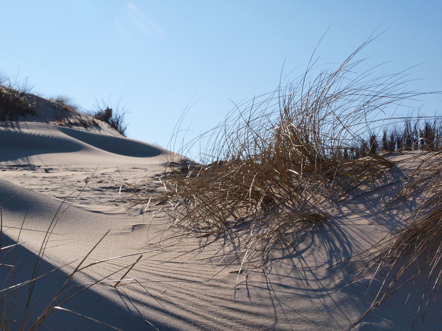 Norderney im Winter