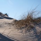 Norderney im Winter