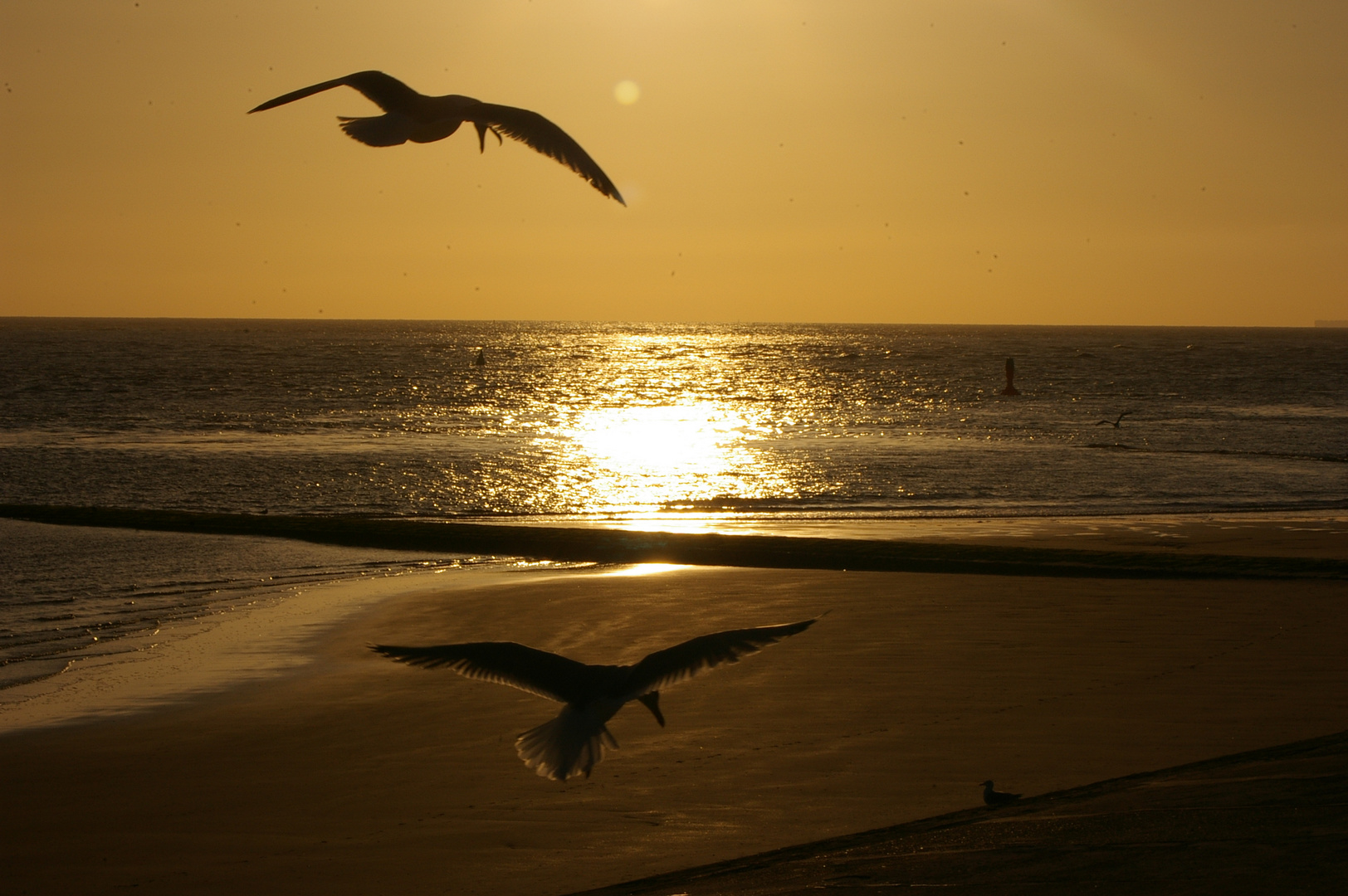 Norderney IV