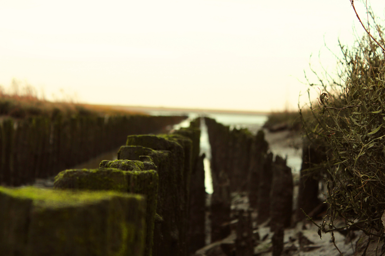 Norderney Landschaft