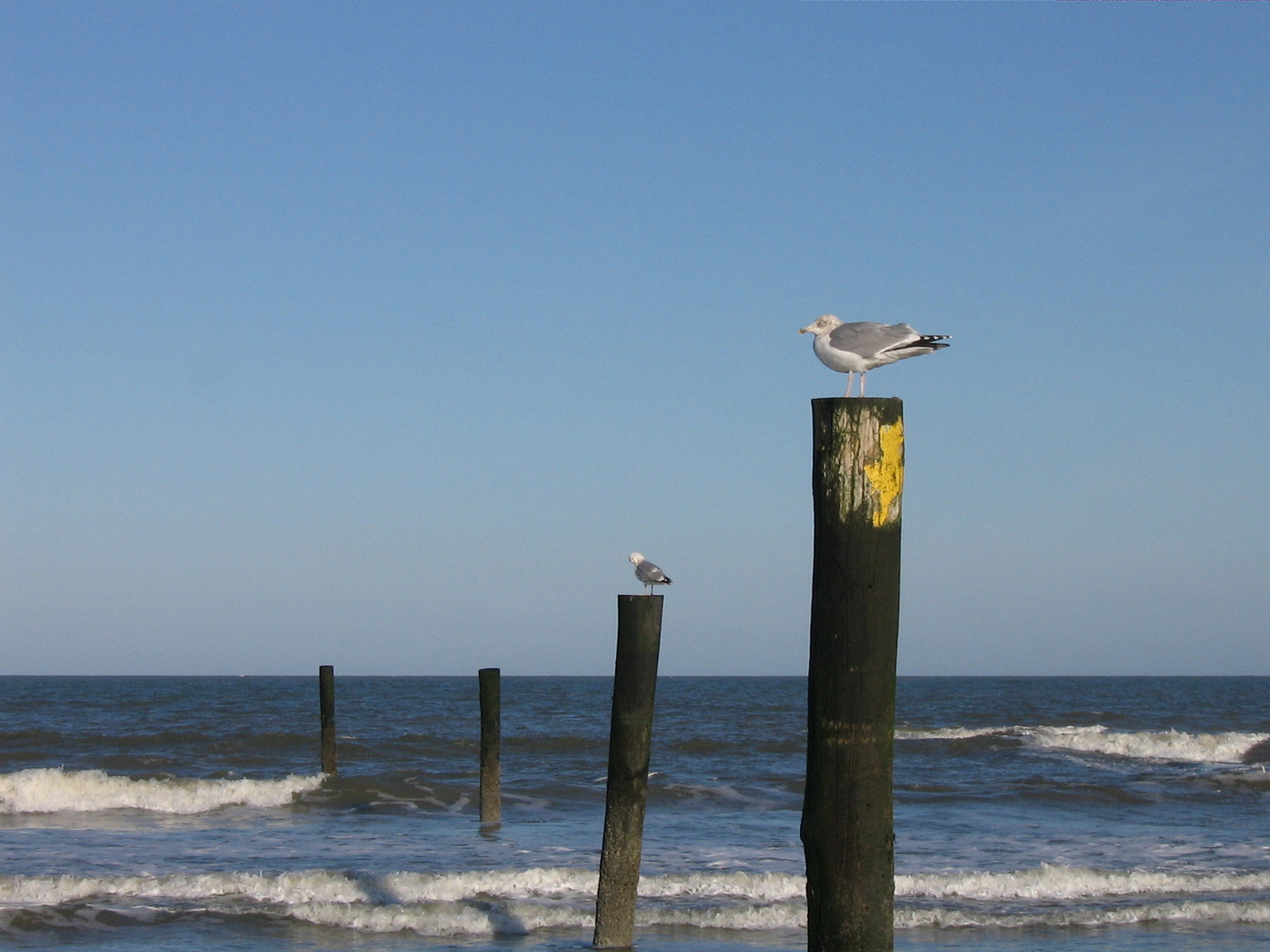 Norderney - Nordstrand