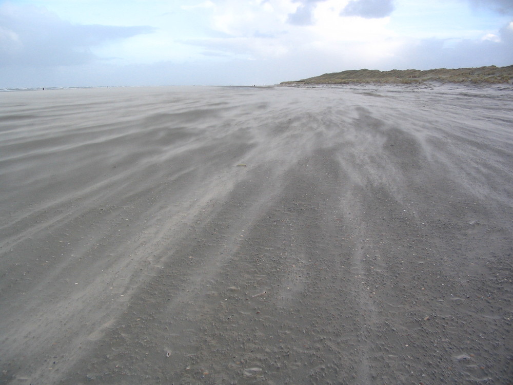 Norderney   "Sandsturm in den Dünen auf Norderney  " !