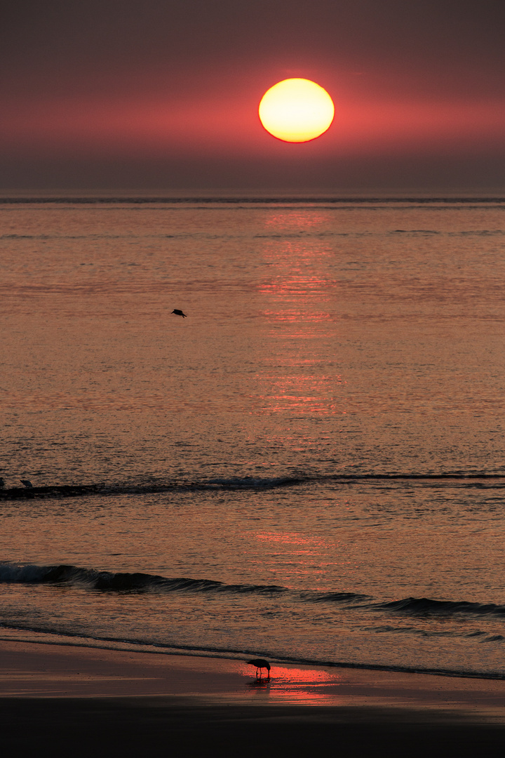 Norderney Sonnenuntergang