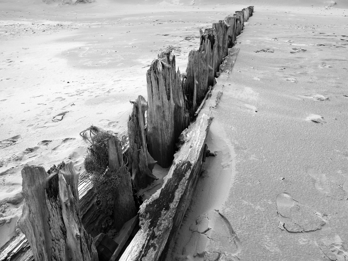 Norderney-Strand-buhnen-holz3-SW