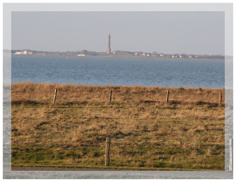 Norderney zum Greifen nah