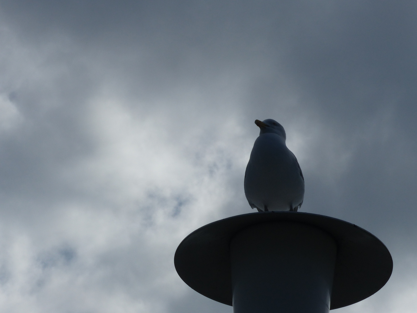 Norderney2019 (33)