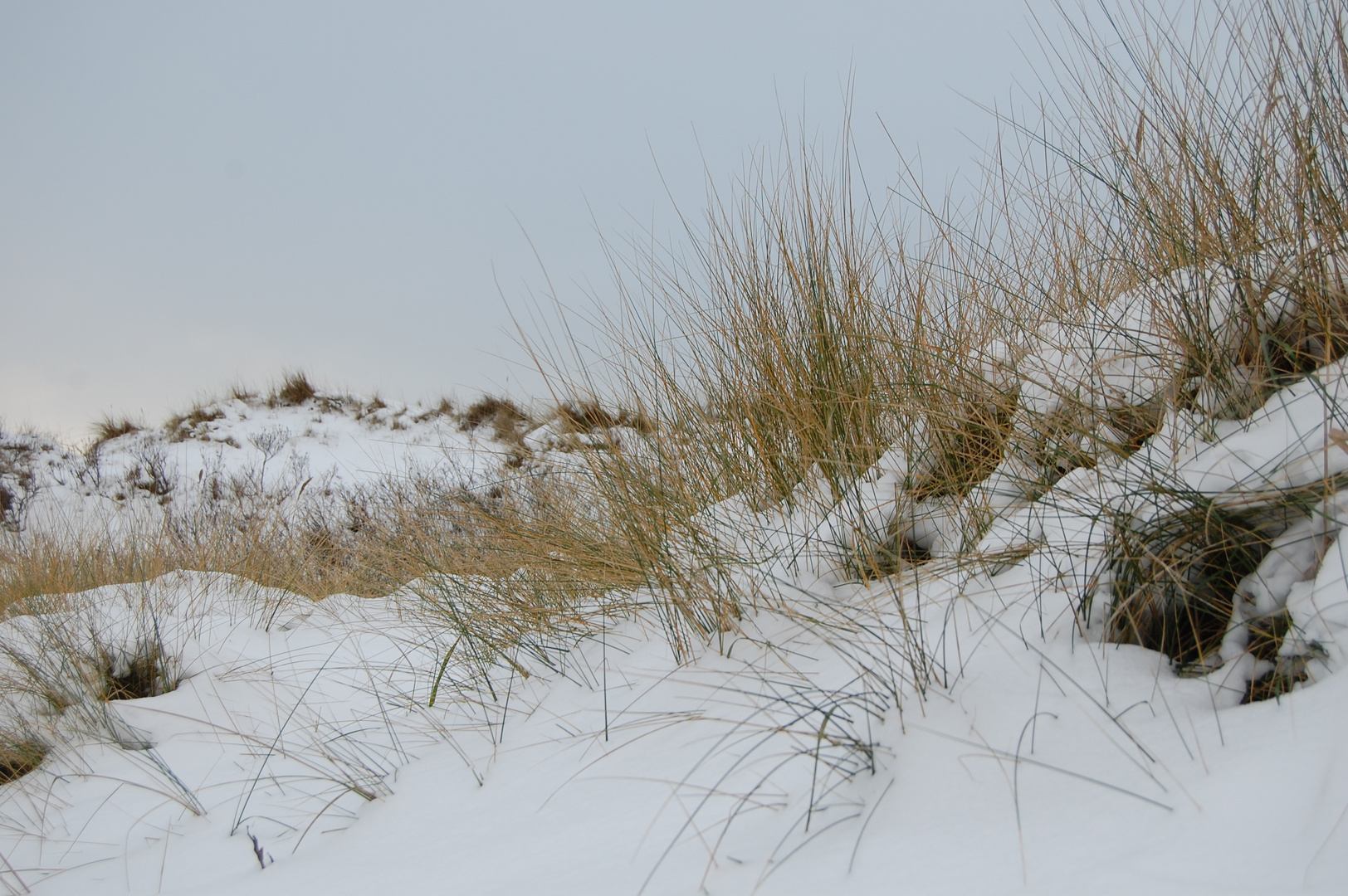 Norderneyer Dünen im Schnee