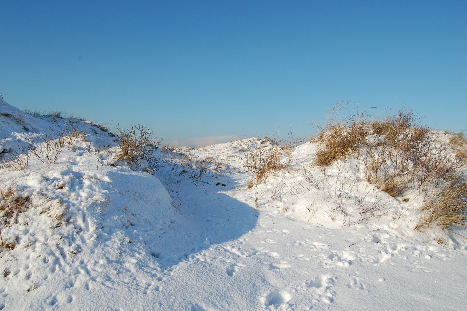 Norderneyer Dünen im Winter