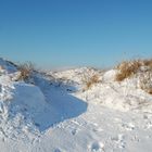 Norderneyer Dünen im Winter