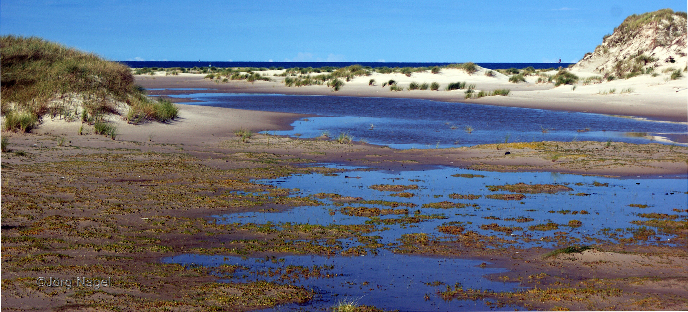 Norderney`s Dünen am Ostende