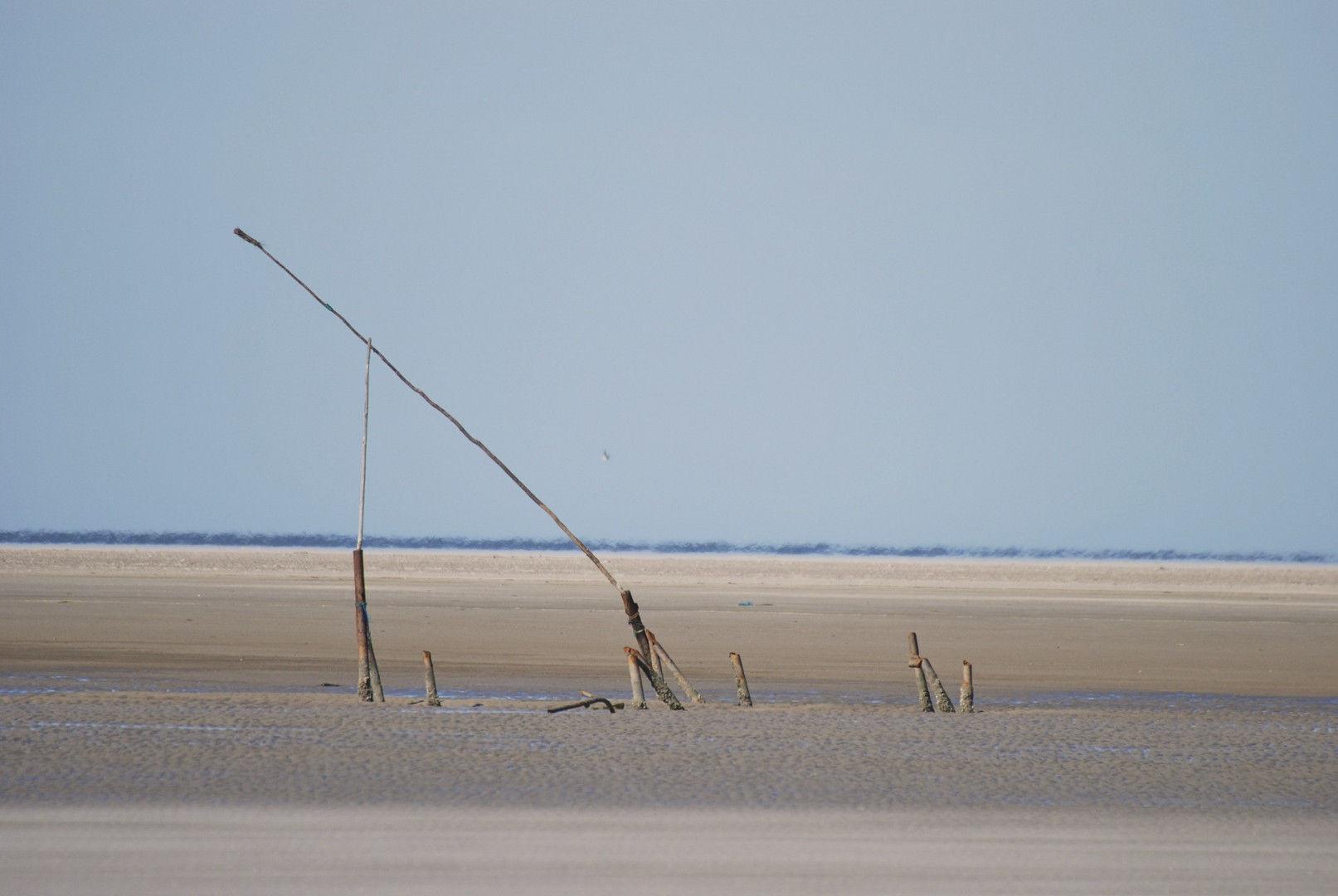 Norderoogsand Foto & Bild landschaft, meer & strand, watt Bilder auf