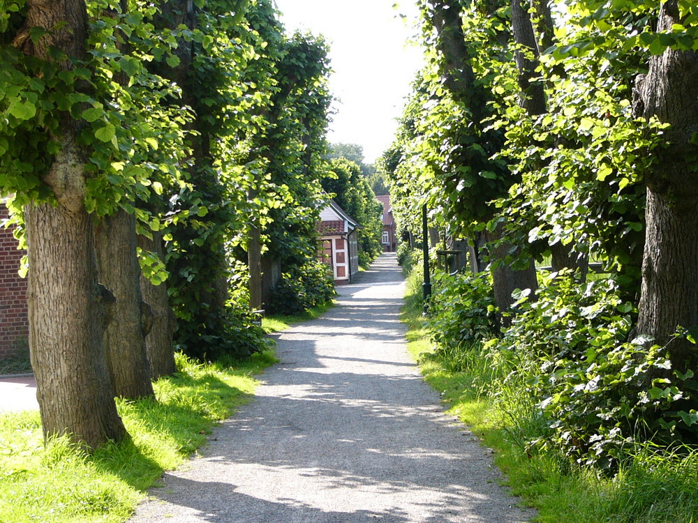 Norderwall in Otterndorf