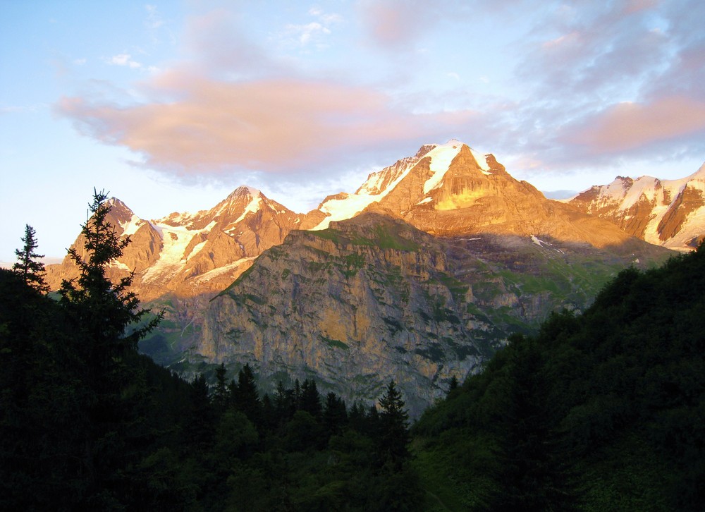 Nordface Rückseite