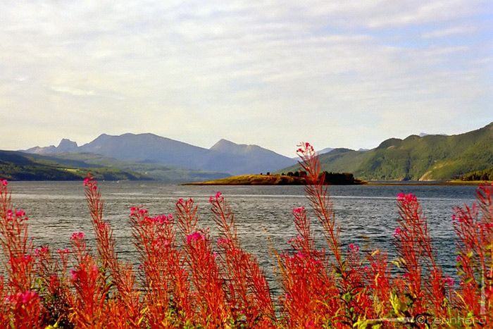 Nordfieber in den Lofoten