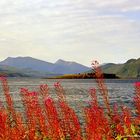 Nordfieber in den Lofoten