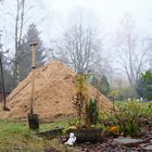 Nordfriedhof 231121