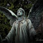 Nordfriedhof ....  der Hoffnung